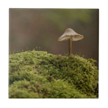 Sereno Hongo en Arte Impreso de Bosque Musgoso
