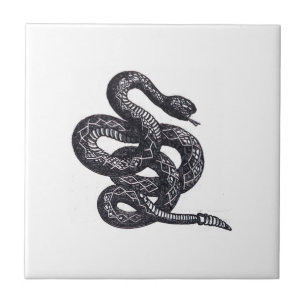 Azulejo Serpiente Crotalus Cascavella (Víbora de Fosa Vene