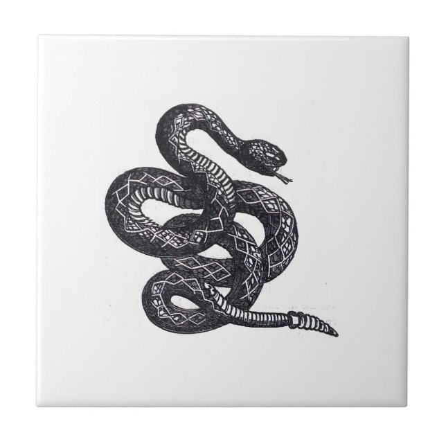 Azulejo Serpiente Crotalus Cascavella (Víbora de Fosa Vene (Frente)