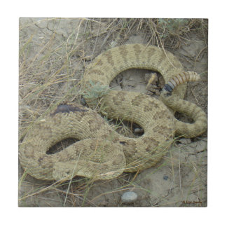 Azulejo Serpiente de cascabel de pradera R20