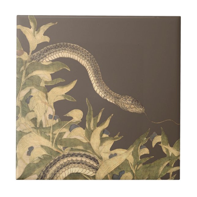 Azulejo Serpiente marrón vintage (Frente)