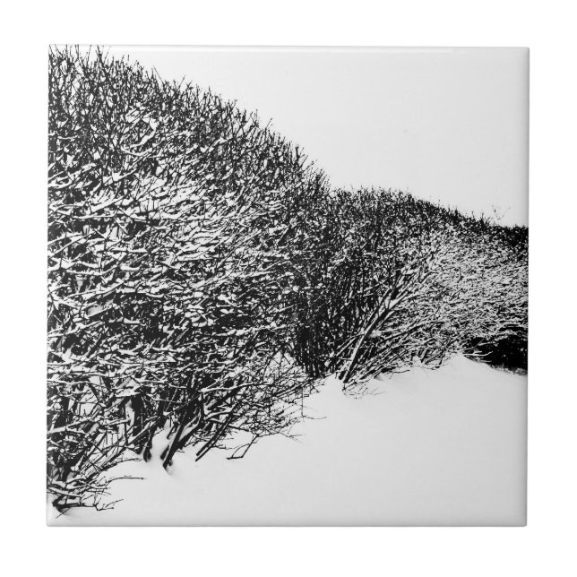 Azulejo seto de invierno (Frente)