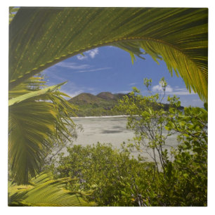 Azulejo Seychelles, Isla Curieuse, Bahía Laraie