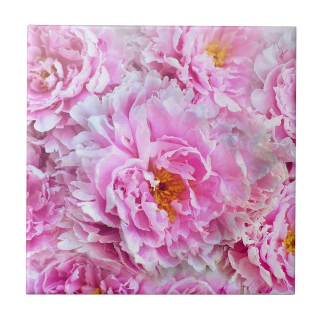 Azulejo Shabby Chic Pink Pastel Pink Peonies (Frente)