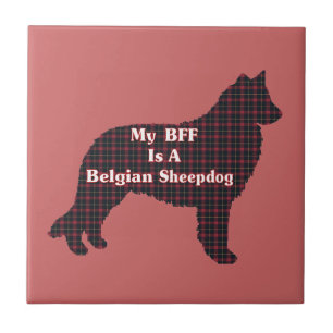 Azulejo Sheepdog BFF belga