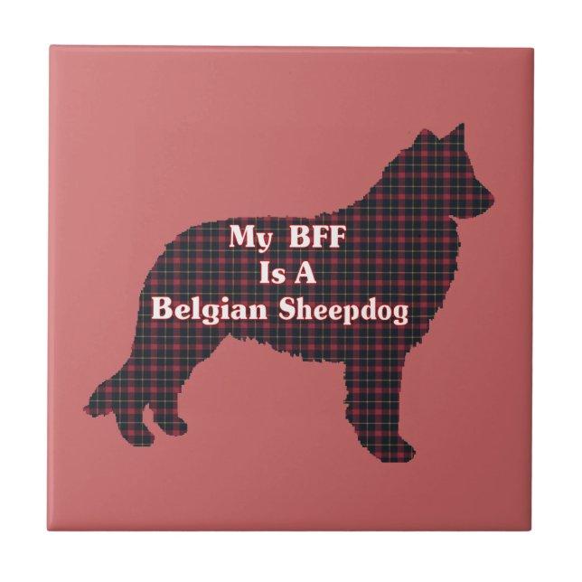 Azulejo Sheepdog BFF belga (Frente)