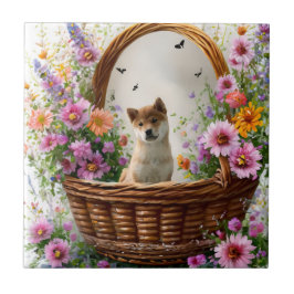 Azulejo Shiba Inu Puppy