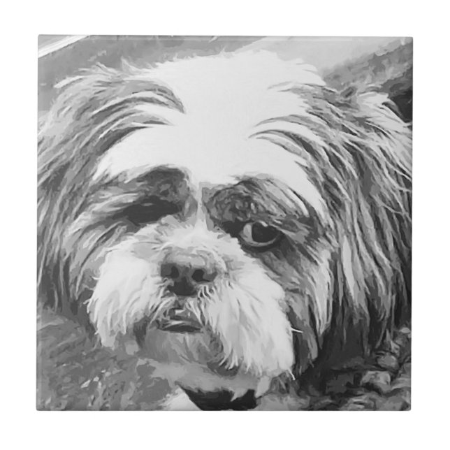 AZULEJO SHIH TZU DOG (Frente)