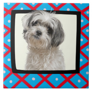 Azulejo Shih Tzu fotograma personalizado con mosaico cerám
