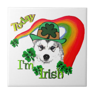 Azulejo Siberian Husky St Patrick