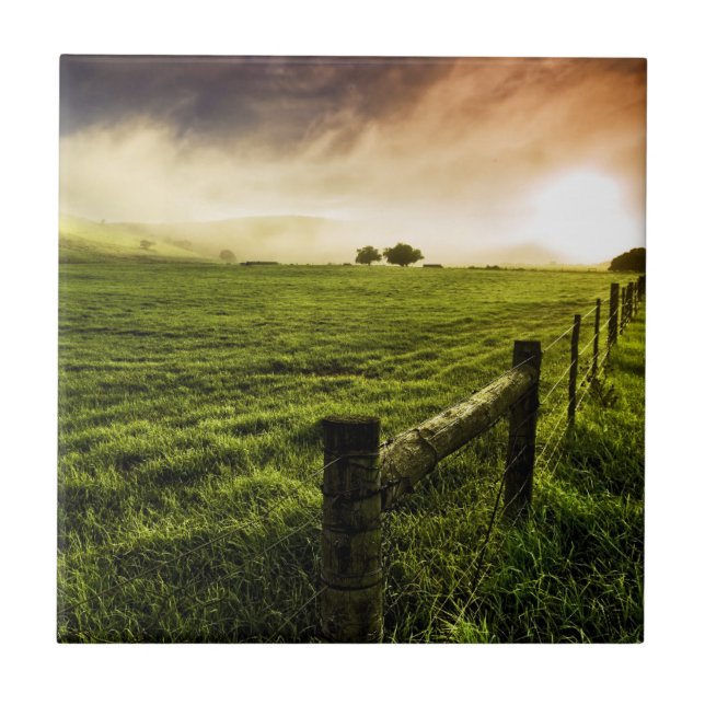 Azulejo Siempre más verde en el otro lado (Frente)
