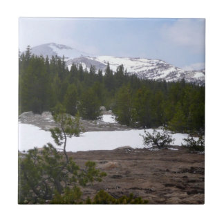 Azulejo Sierra Nevada y nieve en Yosemite