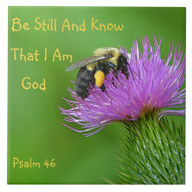 Azulejo Siga siendo abejorro (Frente)