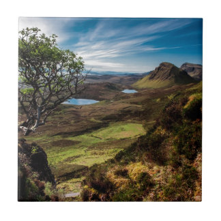 Azulejo ¡Siga sus sueños!