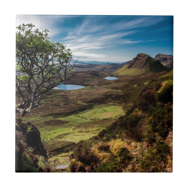 Azulejo ¡Siga sus sueños! (Frente)