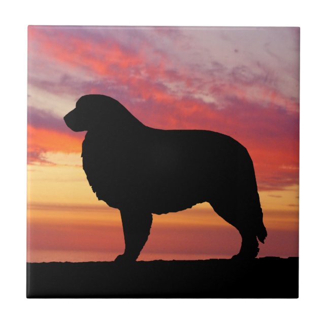 Azulejo Silueta de la puesta del sol del caqui de los (Frente)