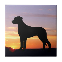 Silueta luminescente de Rhodesian Ridgeback