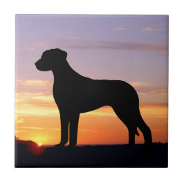 Azulejo Silueta luminescente de Rhodesian Ridgeback