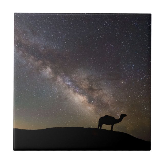 Azulejo Silueta y Milkyway del camello (Frente)