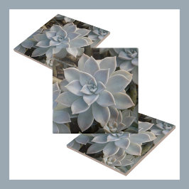 Azulejo Silvery Blue Suculent Botanical Natural