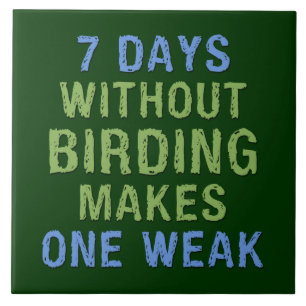 Azulejo Sin Birding uno débil