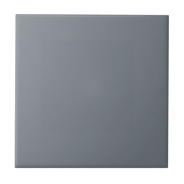 Azulejo Slate Downing Gray Square Kitchen and Bathroom (Frente)