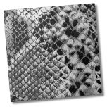 Azulejo Snack blanco negro<br><div class="desc">Baldosa cerámica del patrón de serpiente animal del reptil blanco negro. Huelga de imitación animal de piel de serpiente negra y blanca. Esta es una foto de clausura donde casi se puede ver el 3D de las escalas. Si quieres usar esta baldosa como una pequeña montaña o un trívet para...</div>