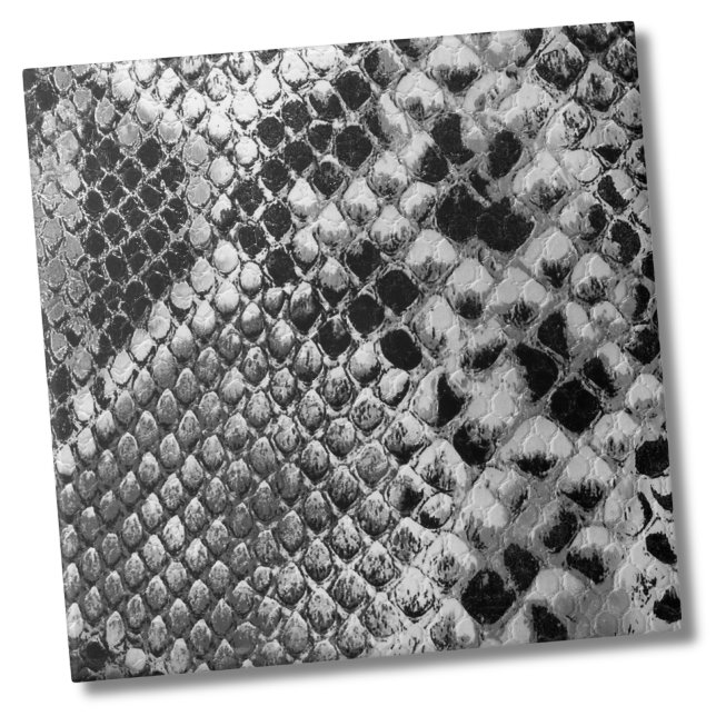 Azulejo Snack blanco negro (Black White Reptile Animal Snake Skin Pattern Ceramic Tile)