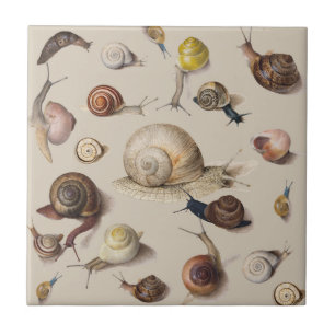 Azulejo Snail Garden Mascota Gastropod Slug Caracoles botá