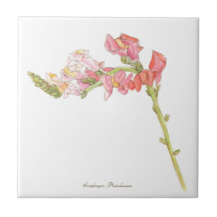 Azulejo Snapdragon