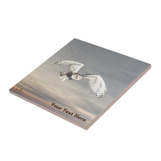 Azulejo Snowy Owl (Lado)