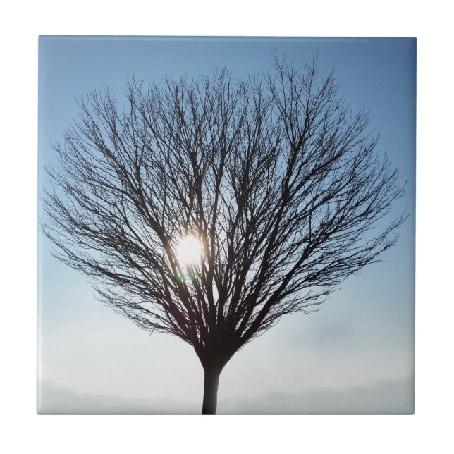 Azulejo sol de invierno (Frente)