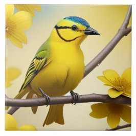 Azulejo Sonríe amarillo brillante encaramado en una rama