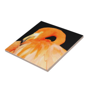 Azulejo Sorprendente pájaro Flamingo en el sol de verano