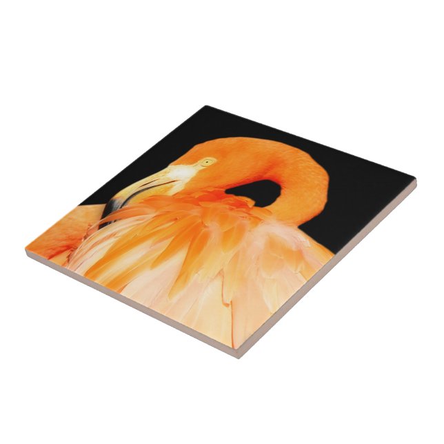 Azulejo Sorprendente pájaro Flamingo en el sol de verano (Lado)