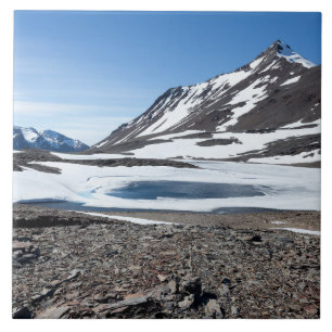 Azulejo South Georgia Landscape