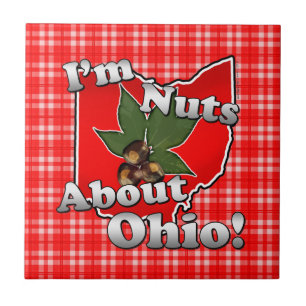 Azulejo Soy Nuts sobre Ohio, nuez divertida del castaño d