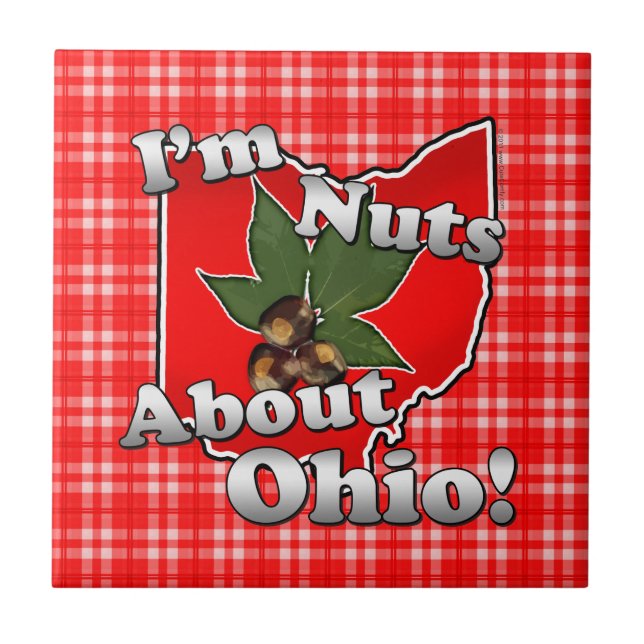 Azulejo Soy Nuts sobre Ohio, nuez divertida del castaño de (Frente)