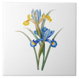Azulejo Spanish iris by Pierre-Joseph Redouté