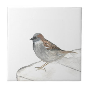 Azulejo Sparrow Bird Wildlife Watercolor Naturaleza Cuta