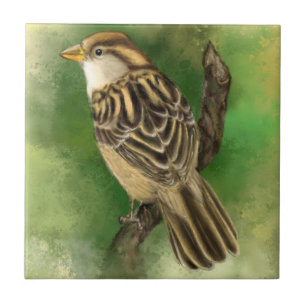 Azulejo Sparrow Ceramic Tile Cuird