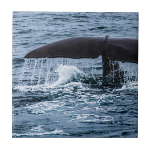 Azulejo Sperm Whale