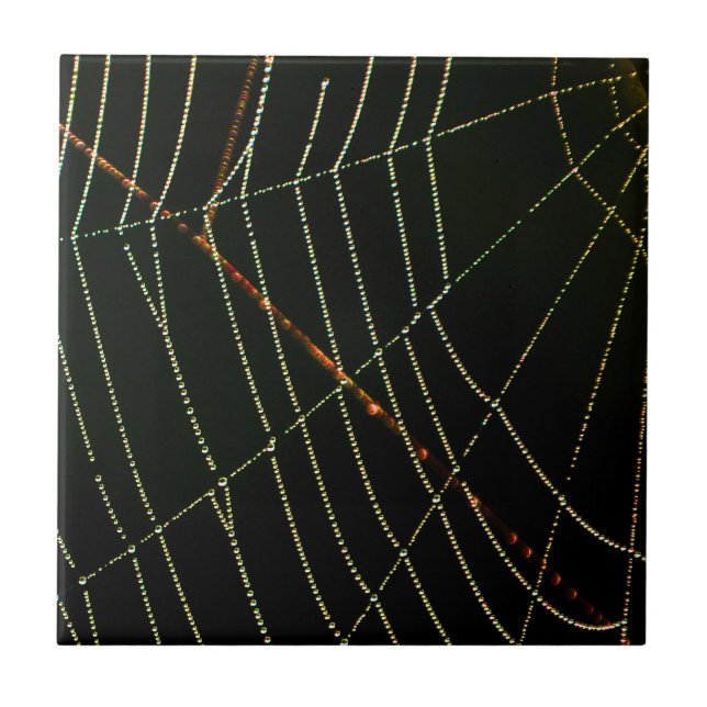 Azulejo Spider Web (Frente)