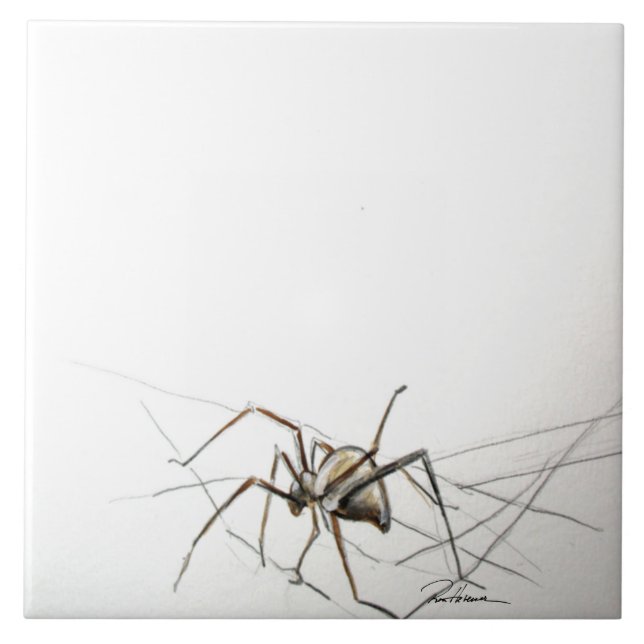 Azulejo Spider Web (Frente)