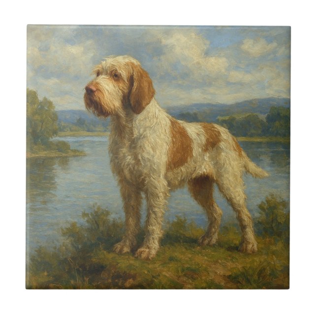 Azulejo Spinone Italiano (Frente)