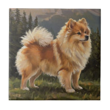 Spitz alemán