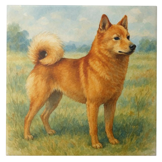 Azulejo Spitz finlandés (Frente)