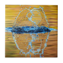 Azulejo Splash en la noche de otoño