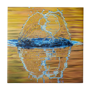 Azulejo Splash en la noche de otoño