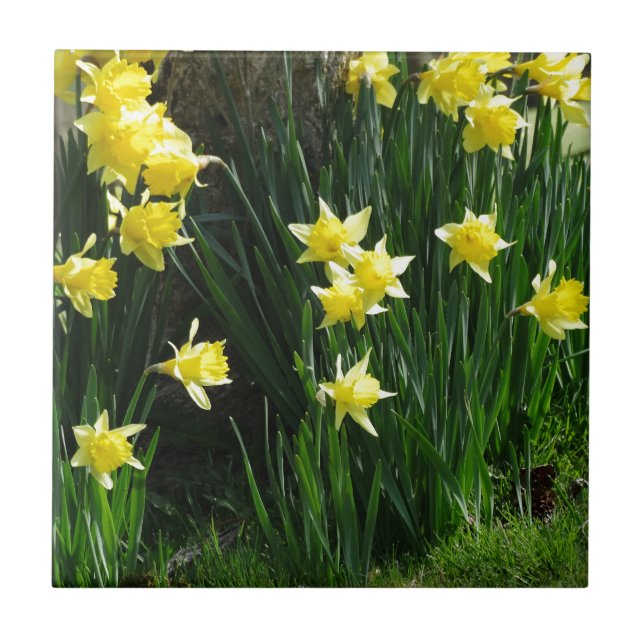 Azulejo Spring Daffodils (Frente)